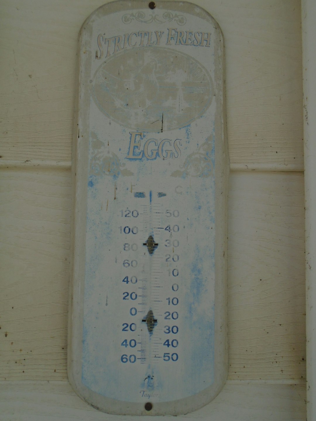 Calle porteña con árboles