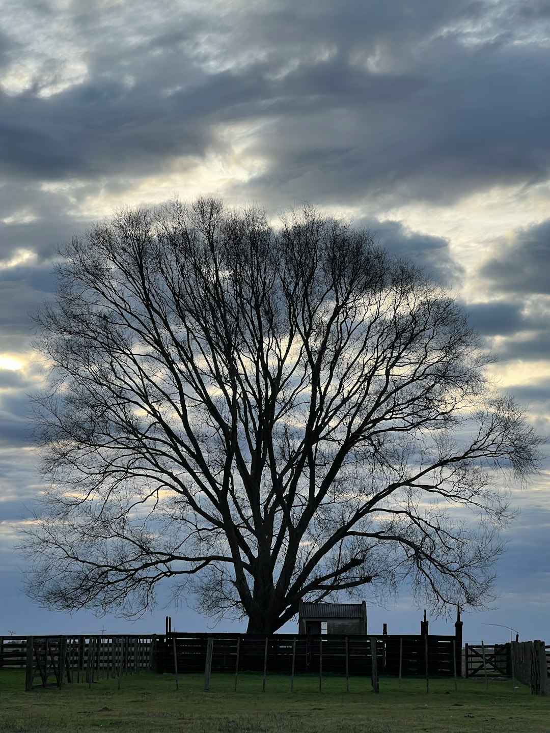 Equipaje preparado para distintas estaciones
